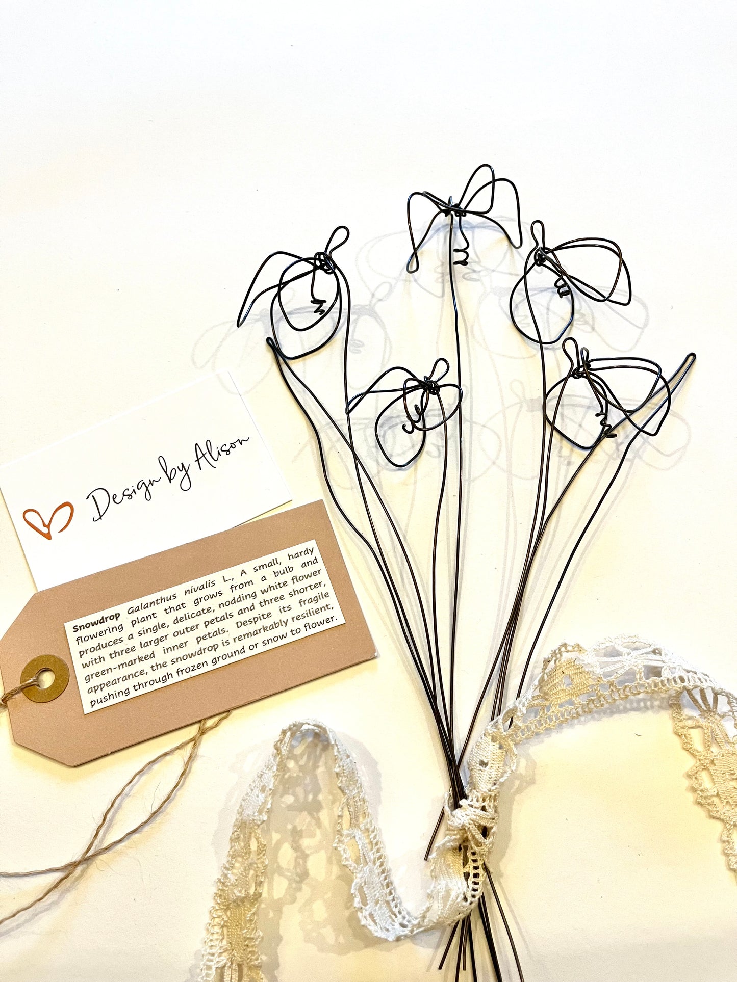 Snowdrop and Leaf gift box set.
