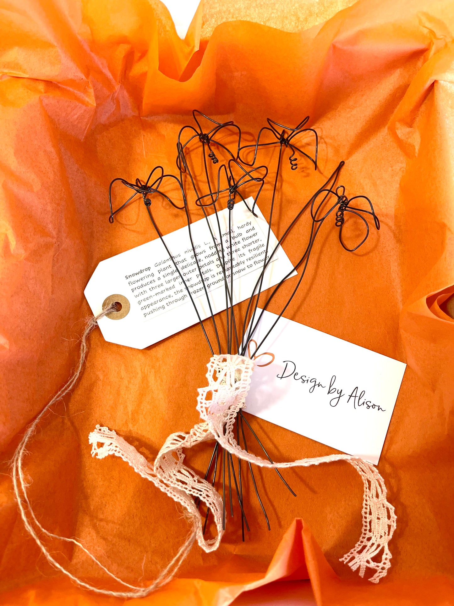 Snowdrop and Leaf gift box set.