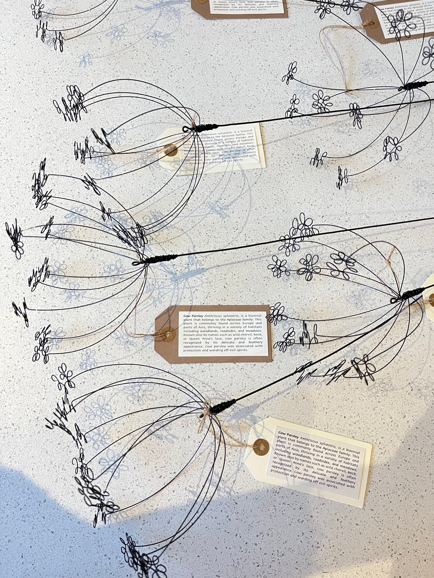 Three Wirework Cow Parsley Florals