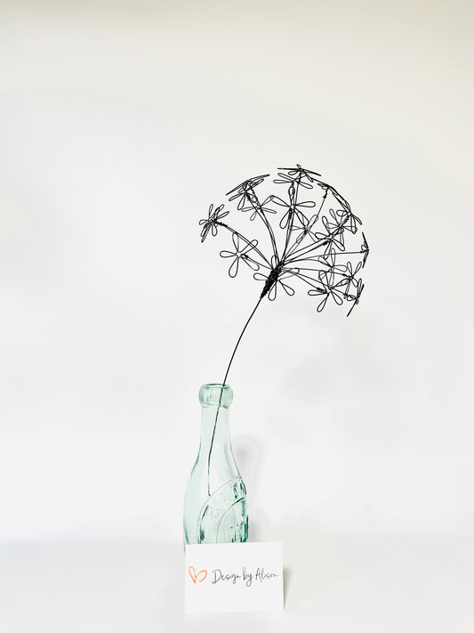 Allium