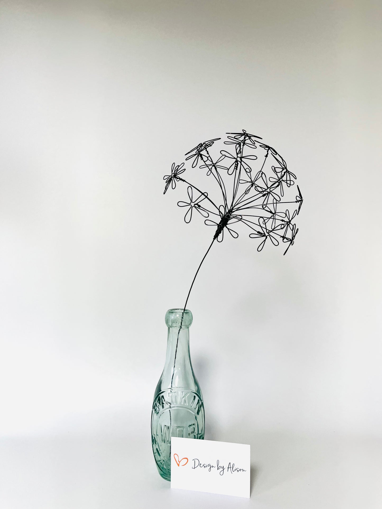 Allium
