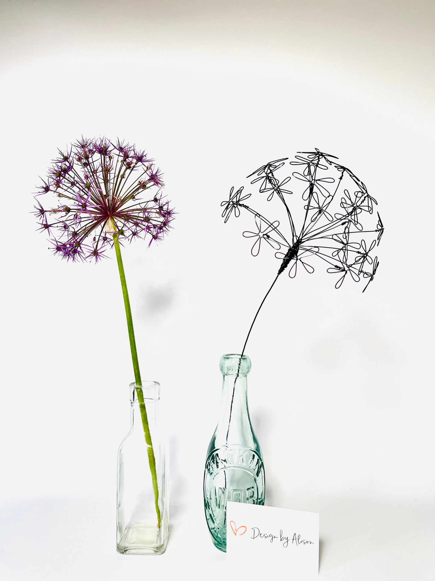 Allium