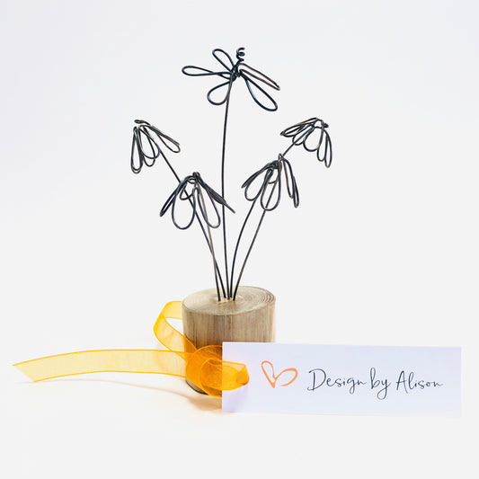 Wirework Wood Sorrel